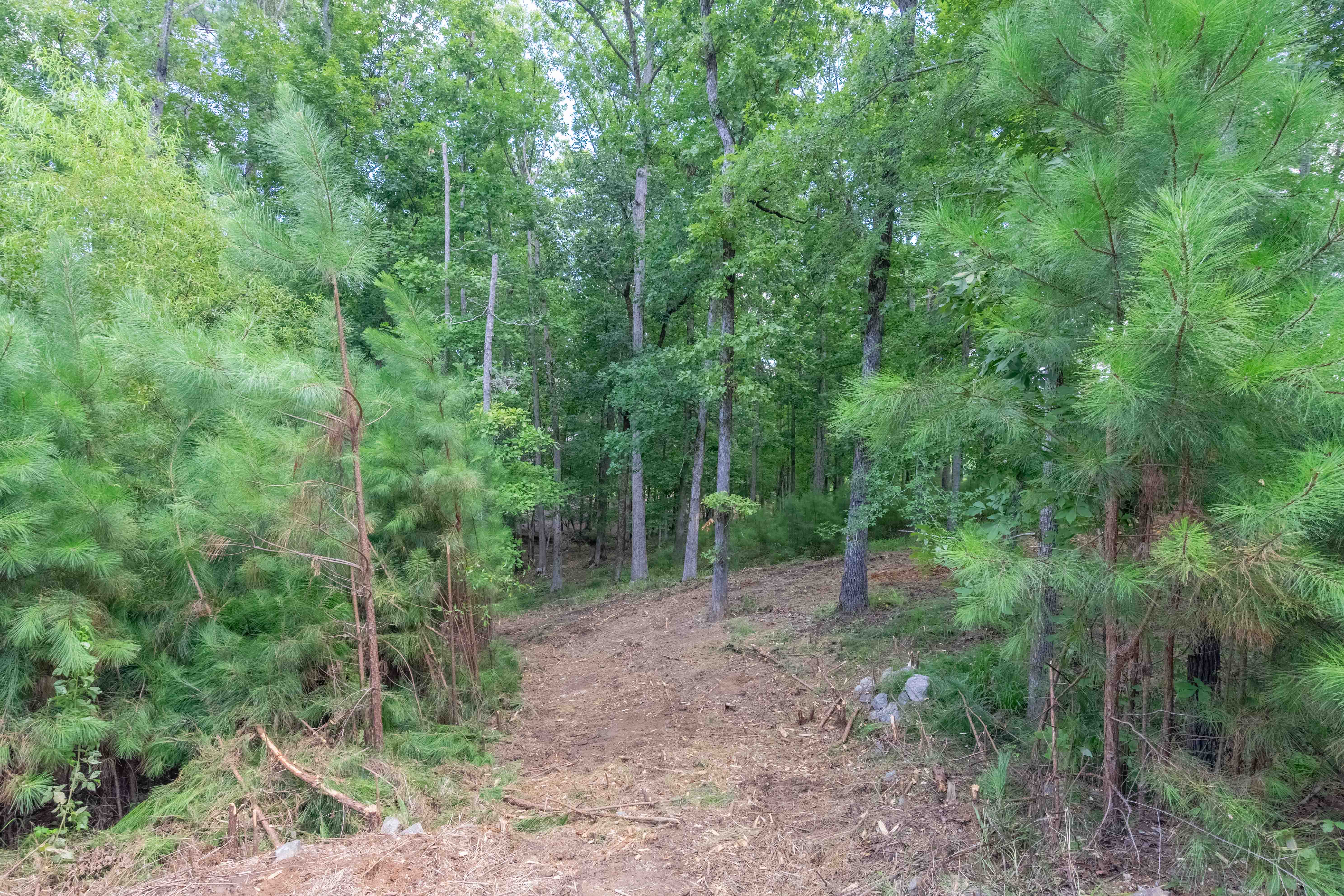 1090 Lumbering Creek image 6